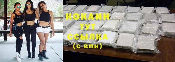 индика Пересвет