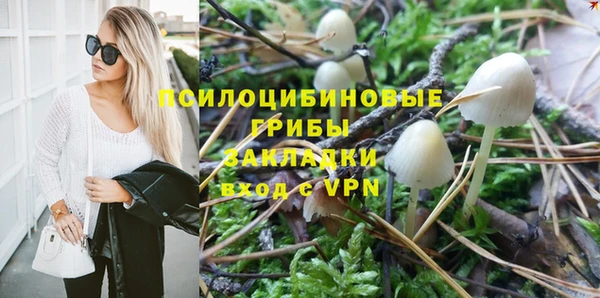 мескалин Осинники