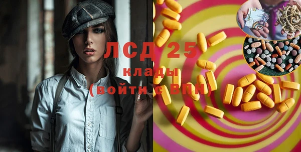apvp Валдай